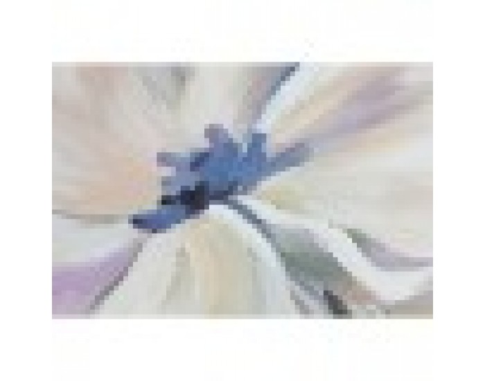 Картина Home ESPRIT Lilled Shabby Chic 100 x 3,7 x 80 cm (2 броя)