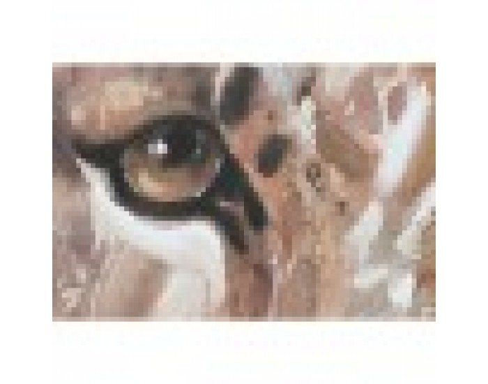 Картина Home ESPRIT Колониален Тигър 80 x 3,7 x 100 cm (2 броя)