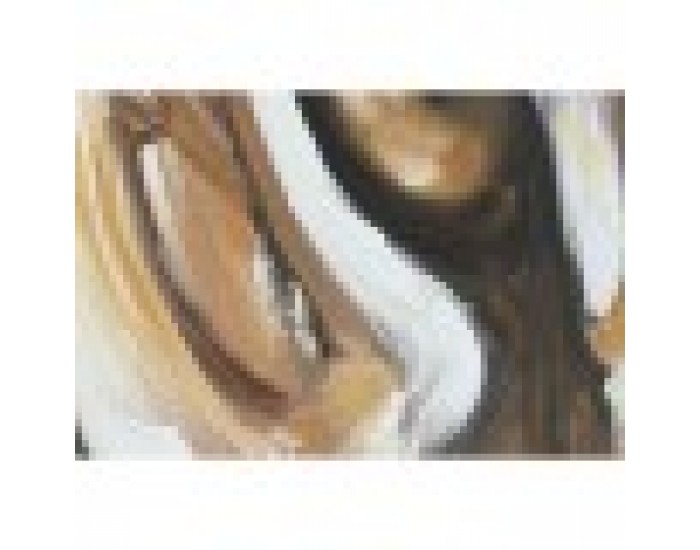Картина Home ESPRIT Колониален Тигър 80 x 3,7 x 100 cm (2 броя)