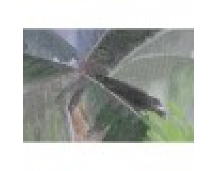 Картина Home ESPRIT Палми Тропически 90 x 3,5 x 120 cm (2 броя)