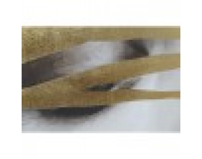 Картина Home ESPRIT Бял Черен Бежов Златен Дама 83 x 4,5 x 123 cm (2 броя)