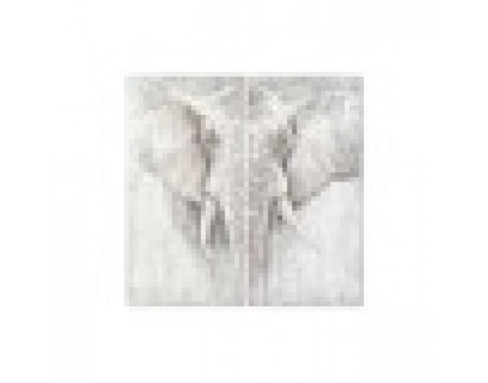 Комплект от 2 снимки DKD Home Decor Слон Колониален (120 x 3,7 x 120 cm) (2 pcs)