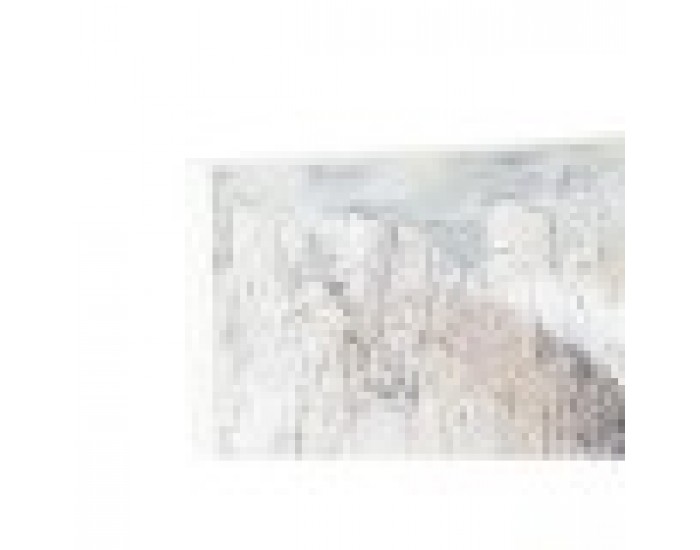 Комплект от 2 снимки DKD Home Decor Слон Колониален (120 x 3,7 x 120 cm) (2 pcs)