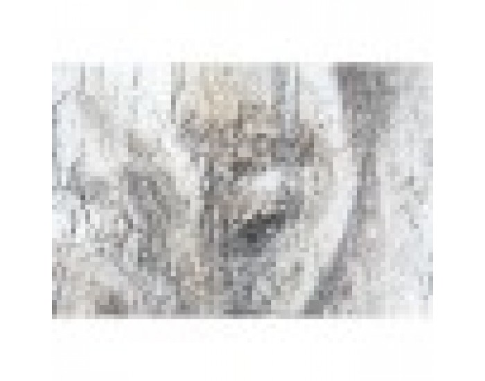 Комплект от 2 снимки DKD Home Decor Слон Колониален (120 x 3,7 x 120 cm) (2 pcs)