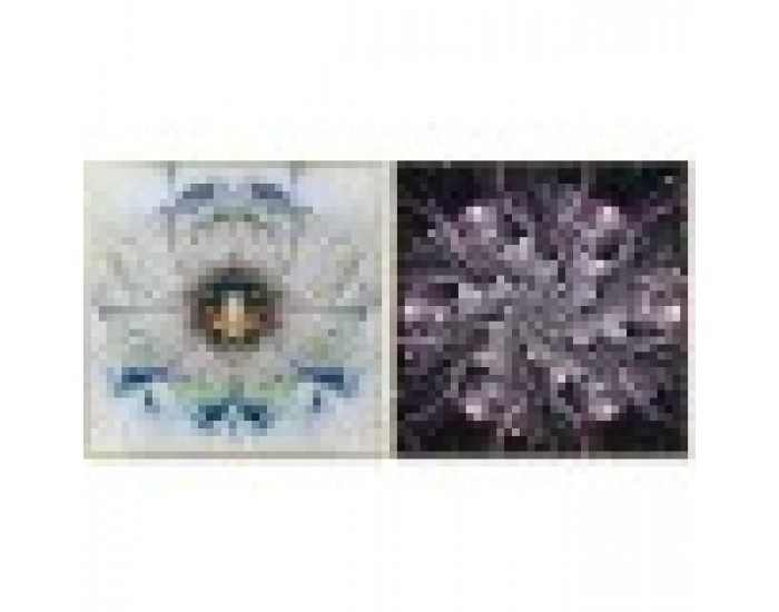 Картина DKD Home Decor 80 x 3 x 80 cm (2 броя)