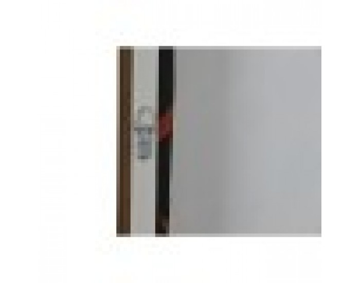 Картина Home ESPRIT Леопард Град 80 x 4,5 x 120 cm (2 броя)