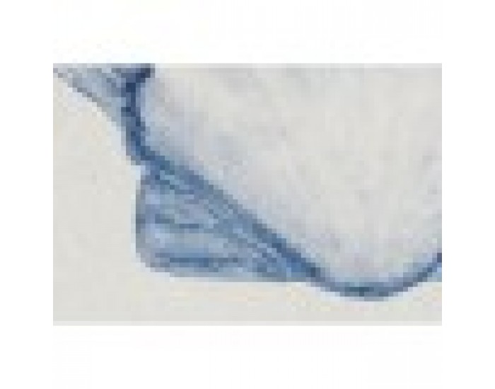 Картина Home ESPRIT Корал Средиземноморско 50 x 2,5 x 50 cm (4 броя)