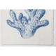 Картина Home ESPRIT Корал Средиземноморско 50 x 2,5 x 50 cm (4 броя)