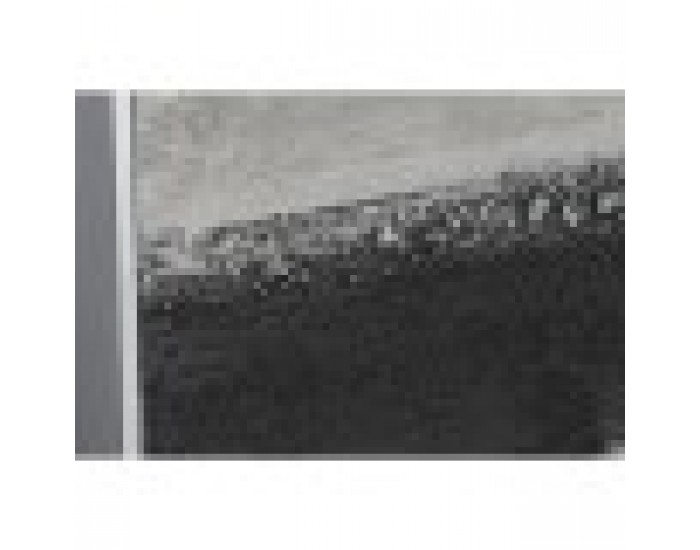Комплект от 3 снимки DKD Home Decor Абстрактен Модерен 140 x 3,5 x 100 cm
