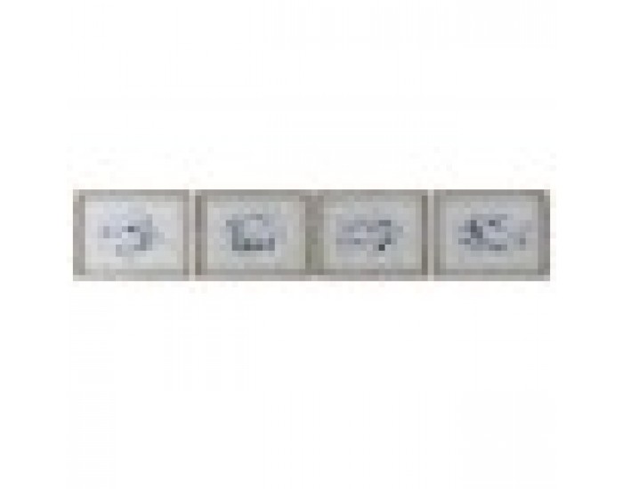 Картина Home ESPRIT Сив Риба (4 броя)