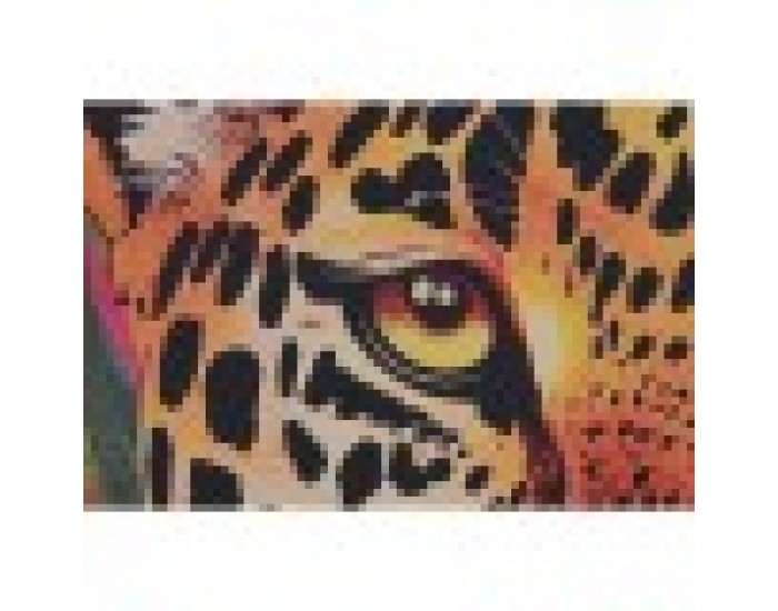 Картина Home ESPRIT Леопард Тропически 83 x 3,8 x 123 cm (2 броя)