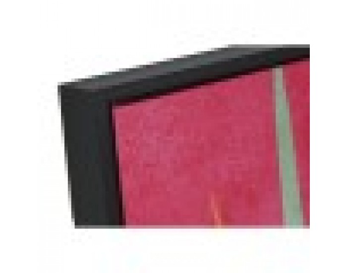 Картина Home ESPRIT Леопард Тропически 83 x 3,8 x 123 cm (2 броя)