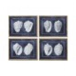 Картина Home ESPRIT Раковина 60 x 2,5 x 45 cm (4 броя) - Tablouri, postere, puzzle-uri