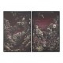 Картина Home ESPRIT Зелен Кестен Златен Тропически Джунгла 83 x 4 x 123 cm (2 броя) - Tablouri, postere, puzzle-uri