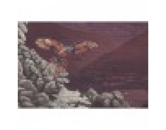 Картина Home ESPRIT Зелен Кестен Златен Тропически Джунгла 83 x 4 x 123 cm (2 броя)