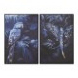 Картина Home ESPRIT Син Черен Златен Папагал Тропически 83 x 4 x 123 cm (2 броя) - Tablouri, postere, puzzle-uri