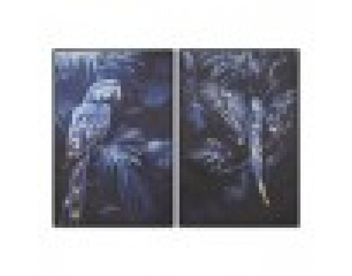 Картина Home ESPRIT Син Черен Златен Папагал Тропически 83 x 4 x 123 cm (2 броя)