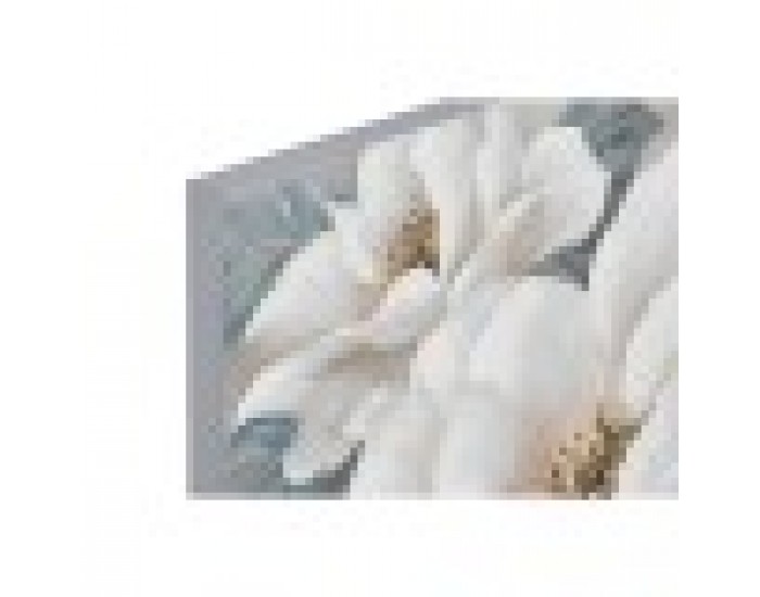 Картина Home ESPRIT рози романтичен 120 x 3,7 x 80 cm (2 броя)