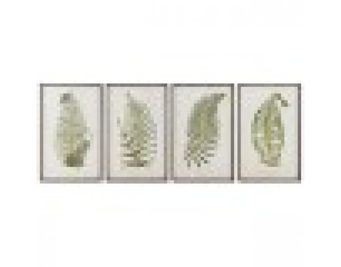 Картина Home ESPRIT орлова папрат Cottage 45 x 2,5 x 70 cm (4 броя)