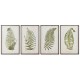 Картина Home ESPRIT орлова папрат Cottage 45 x 2,5 x 70 cm (4 броя)