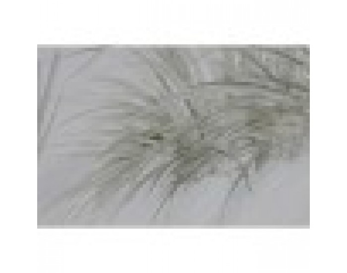 Картина Home ESPRIT Плаж Средиземноморско 120 x 4 x 80 cm (2 броя)