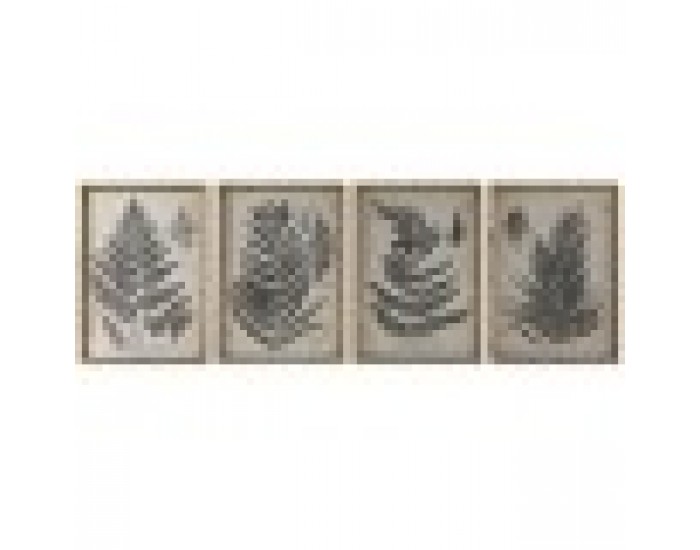 Картина Home ESPRIT орлова папрат Cottage 50 x 2,5 x 70 cm (4 броя)