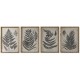 Картина Home ESPRIT орлова папрат Cottage 50 x 2,5 x 70 cm (4 броя)