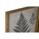 Картина Home ESPRIT орлова папрат Cottage 50 x 2,5 x 70 cm (4 броя)