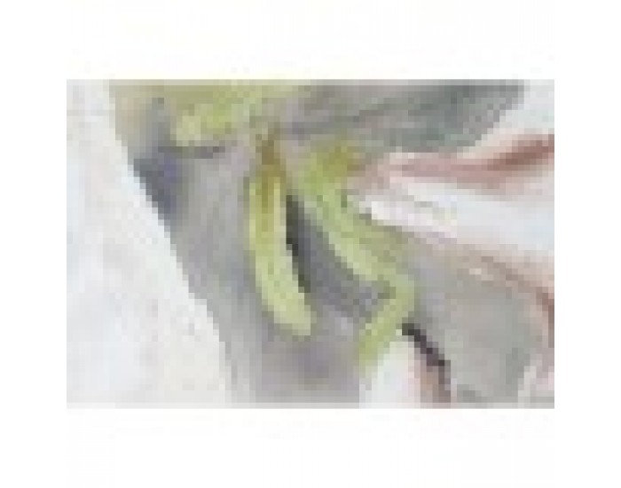 Картина Home ESPRIT Тропически 90 x 3,7 x 120 cm (2 броя)