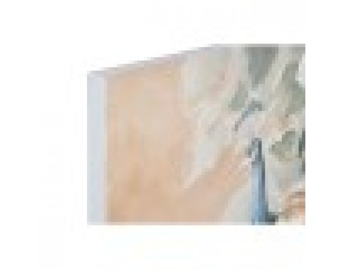 Картина Home ESPRIT Тропически 90 x 3,7 x 120 cm (2 броя)