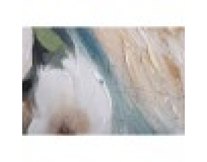 Картина Home ESPRIT Тропически 90 x 3,7 x 120 cm (2 броя)
