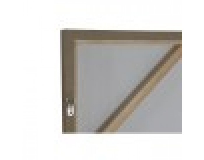 Картина Home ESPRIT Папагал Тропически 100 x 4 x 140 cm (2 броя)