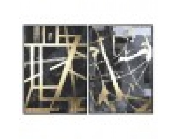Картина Home ESPRIT Модерен 103 x 4,5 x 143 cm (2 броя)