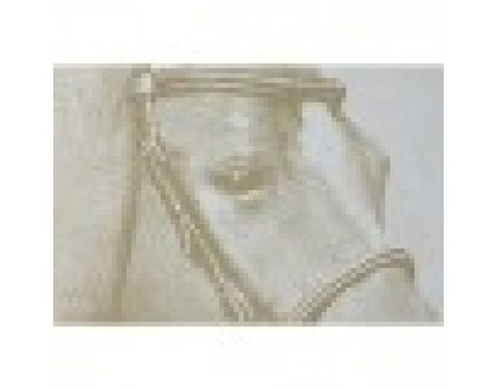 Картина Home ESPRIT Бежов Златен Пурпурин Кон 103 x 4,5 x 103 cm (2 броя)