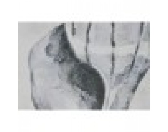 Картина Home ESPRIT Сив Естествен 50 x 2,5 x 60 cm (4 броя)