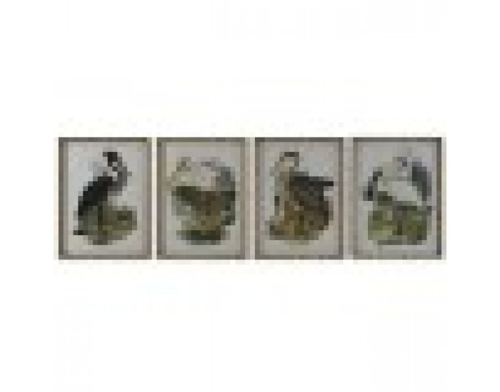 Картина DKD Home Decor Птици Ориенталски 45 x 3 x 60 cm (4 броя)