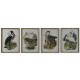 Картина DKD Home Decor Птици Ориенталски 45 x 3 x 60 cm (4 броя)