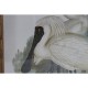 Картина DKD Home Decor Птици Ориенталски 45 x 3 x 60 cm (4 броя)