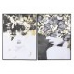 Картина Home ESPRIT Дама 103 x 4,5 x 143 cm (2 броя) - Tablouri, postere, puzzle-uri