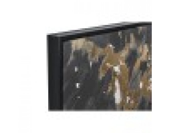 Картина Home ESPRIT Дама 103 x 4,5 x 143 cm (2 броя)