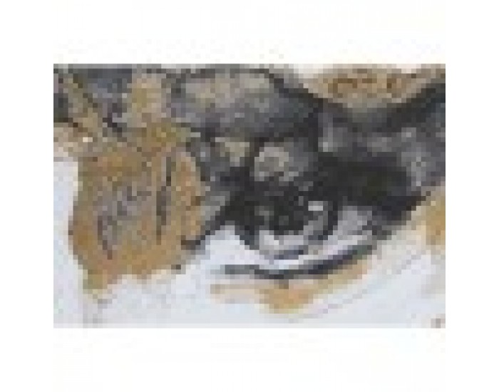 Картина Home ESPRIT Дама 103 x 4,5 x 143 cm (2 броя)
