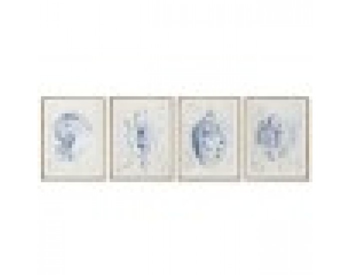Картина Home ESPRIT Средиземноморско Раковина 45 x 2,5 x 60 cm (4 броя)