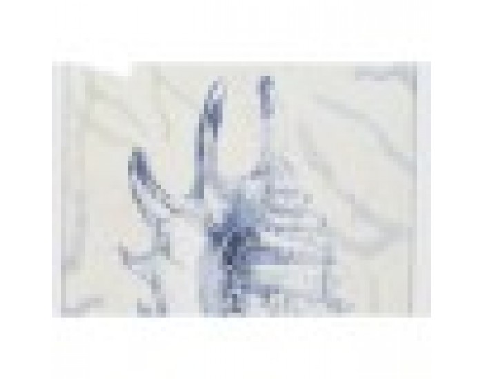 Картина Home ESPRIT Средиземноморско Раковина 45 x 2,5 x 60 cm (4 броя)