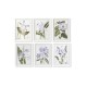 Картина DKD Home Decor Lilled (40 x 2 x 54 cm) (6 броя)