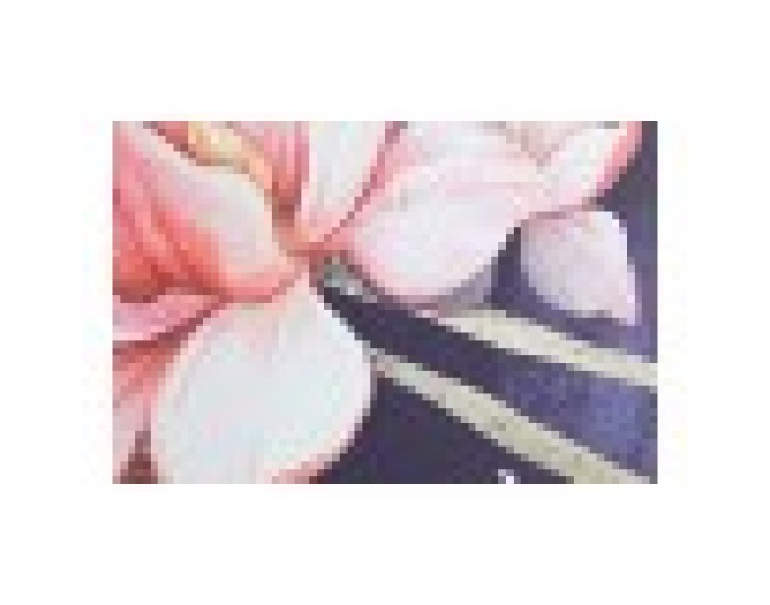 Картина DKD Home Decor Пластно Гейша (2 pcs) (103.5 x 4.5 x 144 cm)