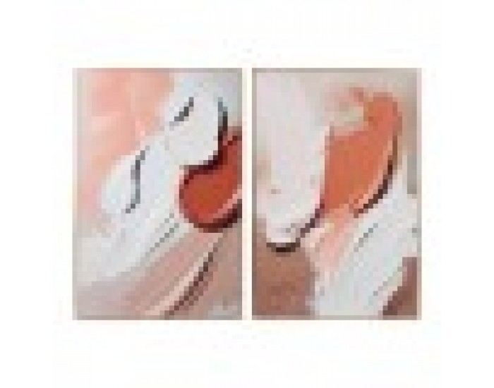 Картина Home ESPRIT Абстрактен Модерен 80 x 3 x 120 cm (2 броя)
