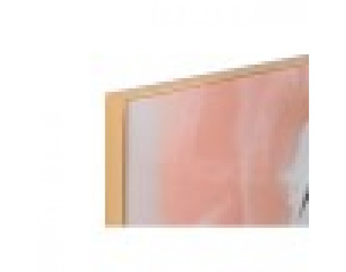 Картина Home ESPRIT Абстрактен Модерен 80 x 3 x 120 cm (2 броя)