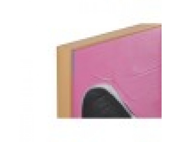 Картина Home ESPRIT Модерен Котка 80 x 3 x 120 cm (2 броя)
