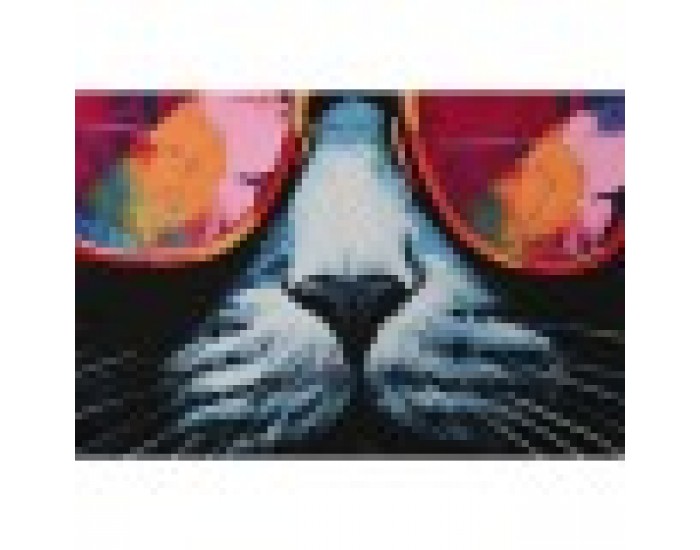 Картина Home ESPRIT Модерен Котка 80 x 3 x 120 cm (2 броя)