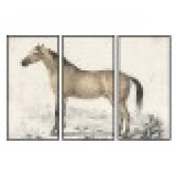 Картина DKD Home Decor Кон (180 x 4 x 120 cm) - Tablouri, postere, puzzle-uri